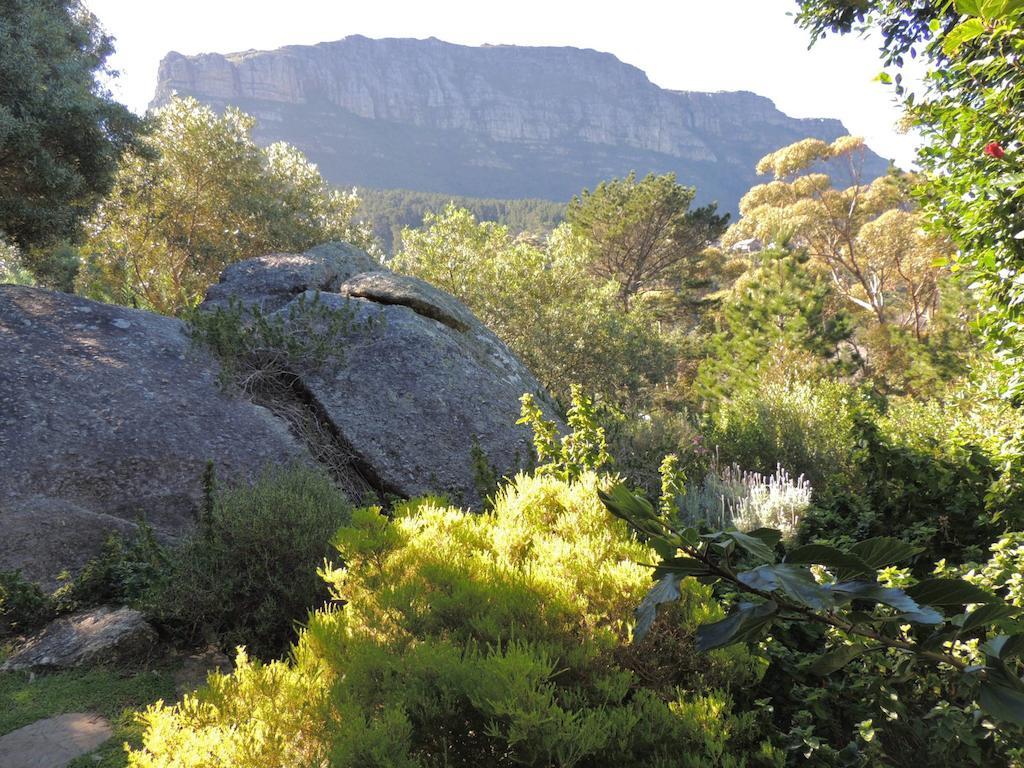 Intaba Lodge Хаут-Бей Экстерьер фото